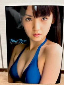 Libro fotografico Sayumi Michishige Blue Rose Wani Books idolo giapponese con... - Foto 1 di 2
