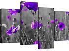 Large Purple Floral Black White Canvas Flowers Pictures Wall Art 4136