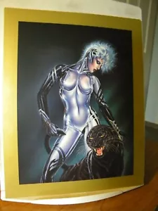 Robert Bane Publishing inc. 8 1/2 x 10 print Black tiger - Foto 1 di 2