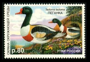 RD16 RUSIA Estampilla de Pato 80p ROJO FACTURADO SHELDUCK 2004 MNH $8 VER FOTOS Lote A-643 - Imagen 1 de 1