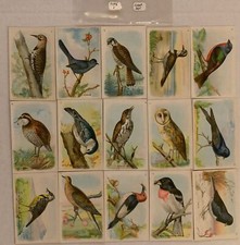 Useful Birds of America 6th 15 Card Set Type 1 Church & Dwight J-9 Arm & Hammer