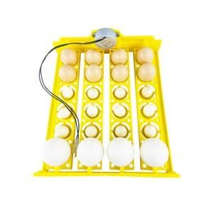 24 Eggs Basket Type Incubator Egg Tray Small Incubator parts 110V/220V - Picture 1 of 18