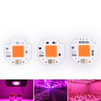 220V Full Spectrum LED COB Chip Grow Light Plant Growing Lamp 50W 70W 100W  DXI