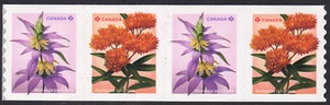 2024 Canada SC# Wildflowers - strip of 4 - Coil - M-NH - Picture 1 of 1