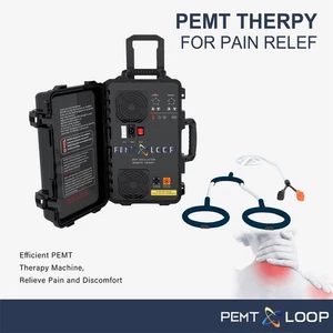 Fisio Magnetoterapia PEMF Equino PEMT Bucle para Caballo 6000Gauss Máquina de Terapia - Imagen 1 de 40