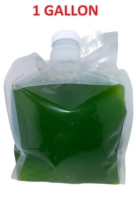 Зеленая водная живая культура хлореллы — 1 галлон для рыб мальков креветок дафнии моины - Изображение 1 из 2