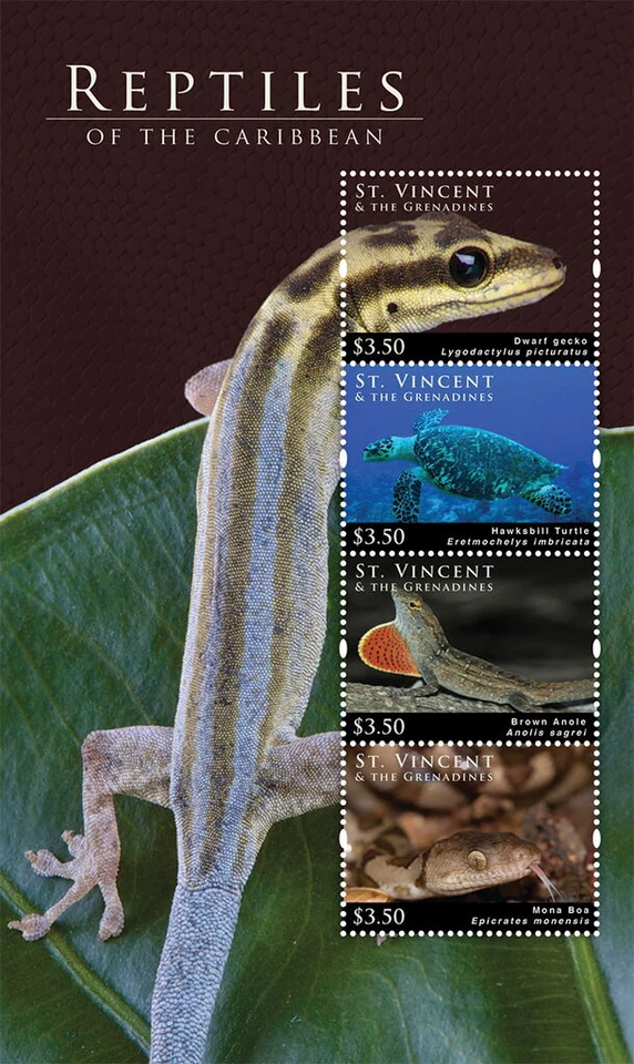 St Vincent #SGMS5964 MNH M/S 2012 Tortuga Caribeña Anole Gecko Boa [3886] Foto 1 de 1