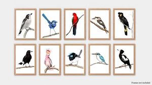 Set of 10 Watercolour Native Australian Bird Prints - Picture 1 of 11