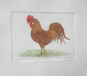 "Gallo rojo de grabado ""Ruler of the Roost"" Martha Hinson en patio S/N agotado - Imagen 1 de 1