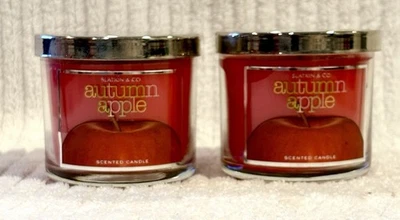 Vela Bath & Body Works Slatkin & Co OUTUMN APPLE (conjunto de 2) 4 oz - Imagem 1 de 4