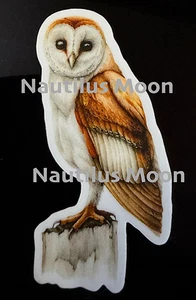 Schleiereule Vinyl Aufkleber Abziehbild 2,5 x 1,25" - Bild 1 von 2