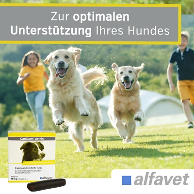 ALFAVET CaniGum Artrin Gelenke Gelenkstoffwechsel Knorpel Sehnen Hund