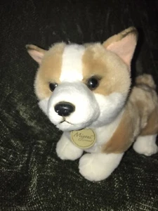 Myoni von Aurora Corgi - Bild 1 von 6