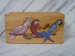 Vintage 1992 All Night Media Papageien Bordüre Holz Stempel 329G - N2 - Bild 1 von 4