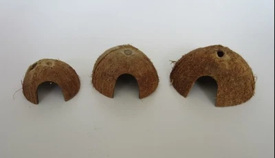 Kokosnuss Höhle S - Aquarium Deko Terrarium Nager Versteck Dekoration Welse - Bild 1 von 2