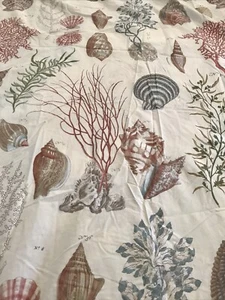 POTTERY BARN DUVET SEASHELLS CORAL CLAMSHELLS CONCH F/Q 100% COTTON - Picture 1 of 8