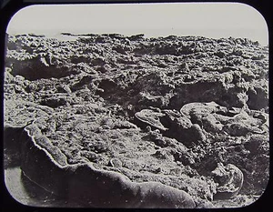 Glass Magic Lantern Slide THE GREAT BARRIER REEF NO21 C1890 PHOTO AUSTRALIA - Picture 1 of 2