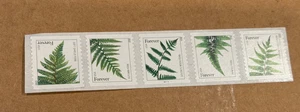 US 4973a-4977a 4977c Ferns Forever PNC5 Plate # Coil SSP 2015 date MNH - APS - Bild 1 von 1