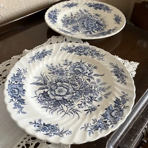 TWO Hostess Tableware Beacon Hill Pattern Pasta Bowls 25cm - Picture 1 of 4