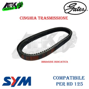 Cinghia di Trasmissione Gates SYM HD 125 EVO 2003-2004-2005-2006-2007-2008-2009 - Imagen 1 de 1
