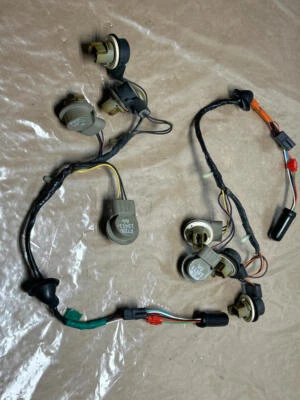 Arnés de luces traseras 270 Ford Mustang SVT Cobra 2003-04 Foto 1 de 4