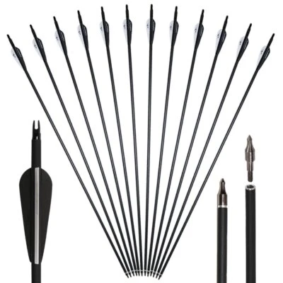 12Pcs 30" Archery Fiberglass Arrows Spine 500 for Recurve/Compound Bow / Quiver