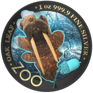 Germania 2019 5 Mark Oak Leaf - Zoo Series - Pacific Walrus - 1 Oz Silbermünze - Bild 1 von 6