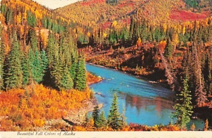 Alaska, hermosos colores de otoño, postal festoneada vintage - Imagen 1 de 2