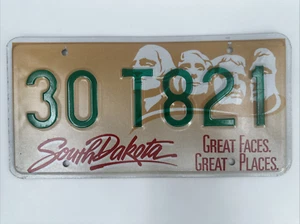 Targa Vintage South Dakota 30 T821 Appendiabiti da Parete da Collezione - Foto 1 di 9