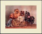 POMERANIAN GROUP OF LITTLE DOGS IN A BASKET DOG PRINT MOUNTED READY TO FRAME