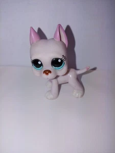 LITTLEST PET SHOP DÄNE # 1023 rosa & lila mit blauen Augen - Bild 1 von 3