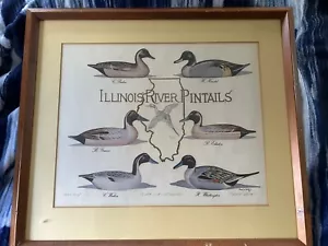 Pintails Louisiana River Paul Shertz signiert Artist Proof Remarque - Bild 1 von 15