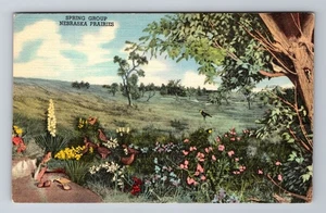 Hastings NE-Nebraska, Museo di Hastings, mostre delle Grandi Pianure, cartolina d'epoca - Foto 1 di 2