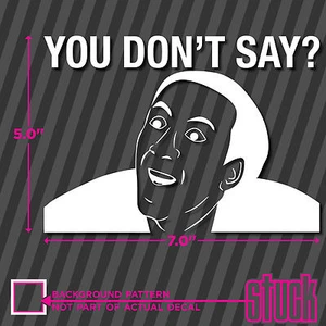 You Don't Say - 7.0"x5.0" - vinyl decal sticker nicolas cage nick meme reddit - Picture 1 of 1