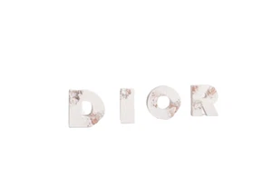 DIOR x DANIEL ARSHAM Future Relics ERODED LETTERS 2020 Edition xx of 250 - Picture 1 of 5