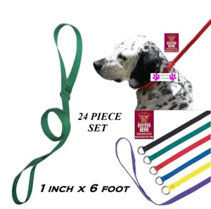 CORREA DE NAILON QuickFit de plomo 24 piezas sin deslizamiento para mascotas 1 pulgada x 6 pies control animal perro - Imagen 1 de 4