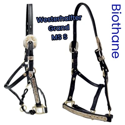 Western Halfter Grand Biothane Schwarz Minishetty Shetty Showhalfter Falabella - Bild 1 von 4