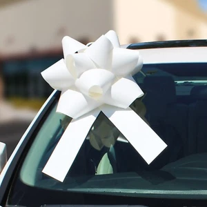 Large 3D Universal Celebration Bow - 18" x 34", Waterproof Vinyl, Suction Cup - Picture 1 of 77