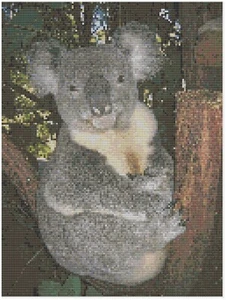 Patrón de punto de cruz de Florashell - Koala - Imagen 1 de 1