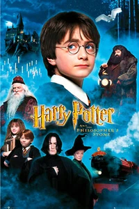 Harry Potter - Velas - Cartel de cine de película - Póster 61x91,5 cm - Imagen 1 de 27