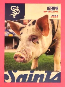 2024 Choice, St. Paul Saints, Ballpig - OZEMPIG - Picture 1 of 1