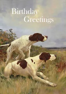 ZEIGER ZWEI HUNDE IN LANDSCHAFTLICHER UMGEBUNG TOLLE HUND GEBURTSTAG GRUSS NOTIZKARTE - Bild 1 von 1