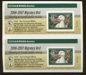 2006 US Migratory Bird Hunting Federal Duck Stamp #RW73A Mint Rare Pair - Picture 1 of 2