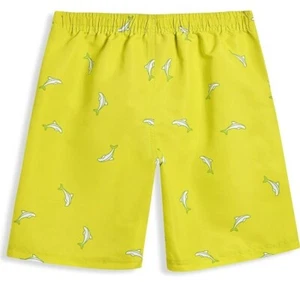 DECKTIN Boys Swim Trunks Quick Dry Beach Board Shorts Kids Swimwear Lime Size 8 - Picture 1 of 5
