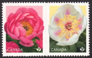 Canadá SC# 2025 - Peonías - Flor Semi-Doble - Par - de folleto - M-NH - Imagen 1 de 1