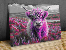 Scottish Highland Cow mounted canvas print art ready to hang