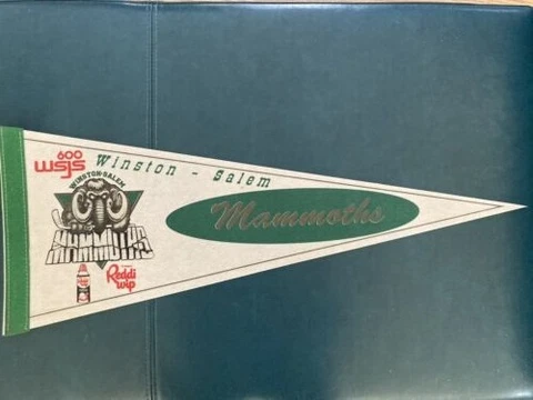 SHL Vintage Defunct Winston-Salem Mammoths  1995-96 Team Logo Pennant Cover