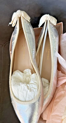 Zapatos planos de ballet Loeffler Randall para mujer 10B Hedda de cuero plateado arco angustia Foto 1 de 4