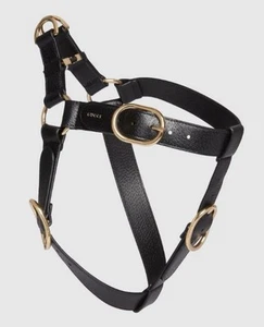 Harnais réglable bouclé GUCCI Pet Dog Interlocking GG Demetra taille XL - Photo 1 sur 10