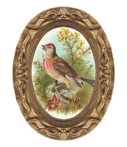 Vintage Songbird Bird Miniature Dollhouse Art Picture 8601 - Picture 1 of 1